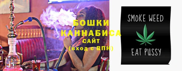 стаф Дмитровск