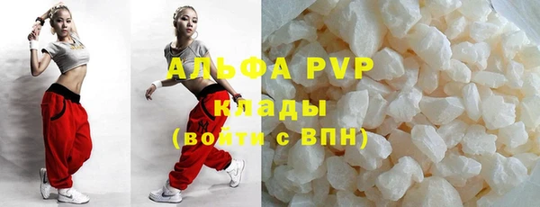 стаф Дмитровск