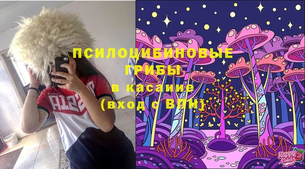 стаф Дмитровск