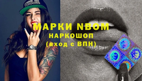 стаф Дмитровск