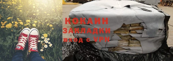 стаф Дмитровск